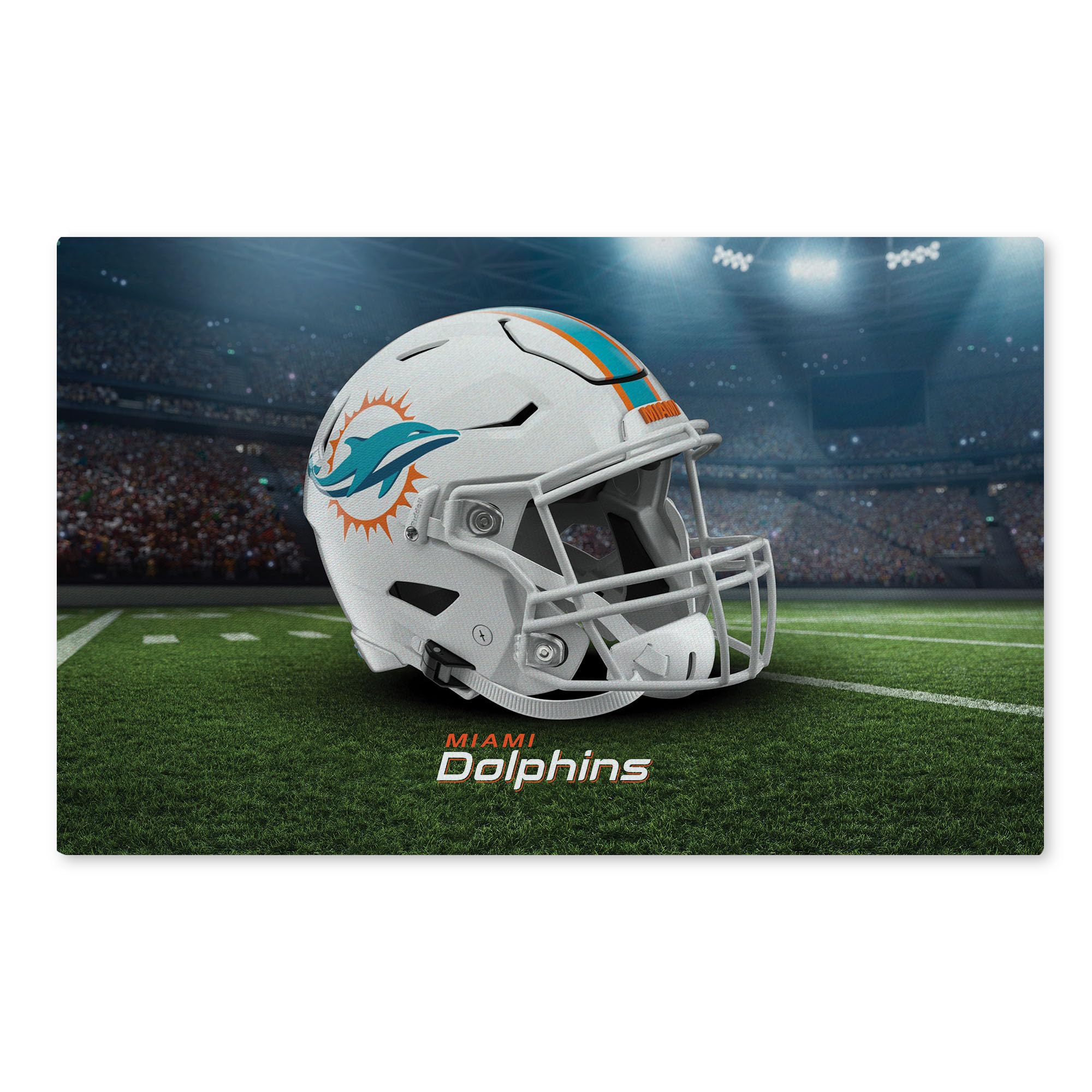 Amazon.co.jp: NORTHWEST The Company NFL マイアミドルフィンズ
